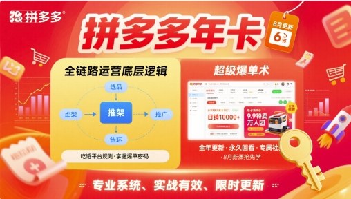 拼多多年卡【8月更新6节】拼多多全链路运营底层逻辑，超级爆单术-优优云网创