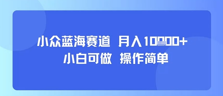 小众蓝海赛道,小白可做,操作简单,每天30分钟,月入1W+-优优云网创