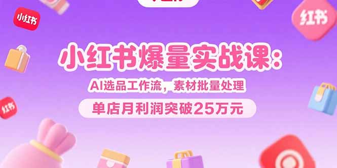 小红书爆量实战课：AI选品工作流，素材批量处理，单店月利润突破25万元-优优云网创