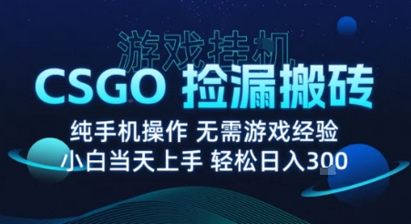 8月最新游戏搬砖，CSGO纯挂G，不需要玩游戏，实现真挂G，月入1W+【揭秘】-优优云网创