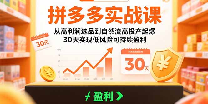 拼多多实战课：从高利润选品到自然流高投产起爆 30天实现低风险可持续盈利-优优云网创