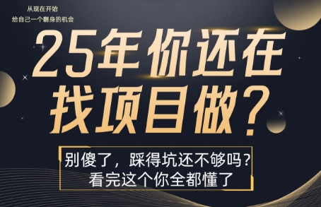 25年，你还在疯狂的找项目吗？别傻了，看完这个你都懂了【揭秘】-优优云网创