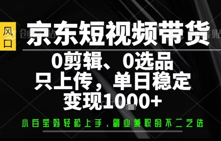 你出账号,我来运营,保底日入1k+,开启躺賺模式【揭秘】-优优云网创