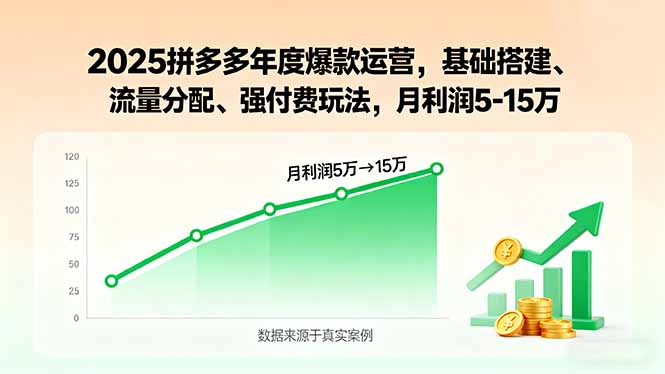 2025拼多多年度爆款运营，基础搭建、流量分配、强付费玩法，月利润5-15万-优优云网创