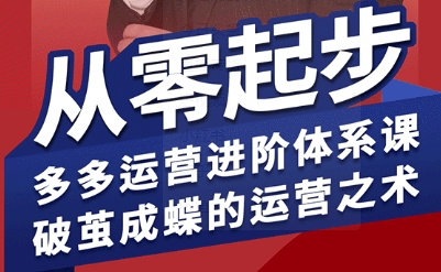 拼多多运营进阶系统课，从零起步，多多运营进阶体系课，破茧成蝶的运营之术-优优云网创