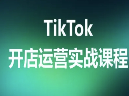 TikTok开店运营实战课程,TK跨境电商实操全流程-优优云网创