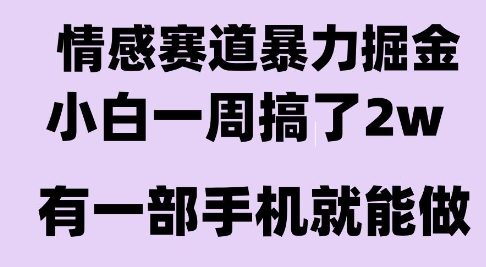 情感暴力掘金项目，新人操作一周挣了2W，长期稳定小白可做【揭秘】-优优云网创