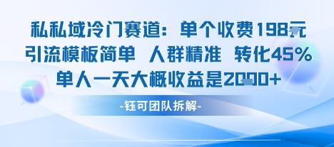 私域冷门赛道单个收费198米引流模板简单人群精准 45%的转化率单人一天大概收益多张-优优云网创