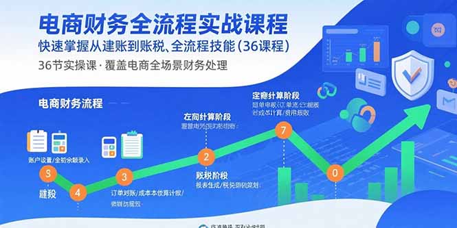 电商财务全流程实战课程：快速掌握从建账到报税的全流程技能(36节课-优优云网创