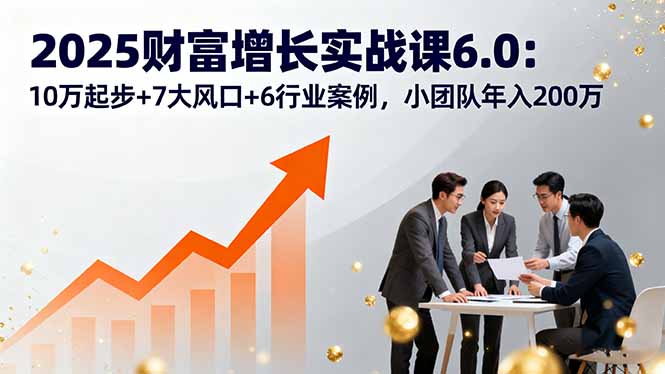 2025财富增长实战课6.0：10万起步+7大风口+6行业案例，小团队年入200万-优优云网创