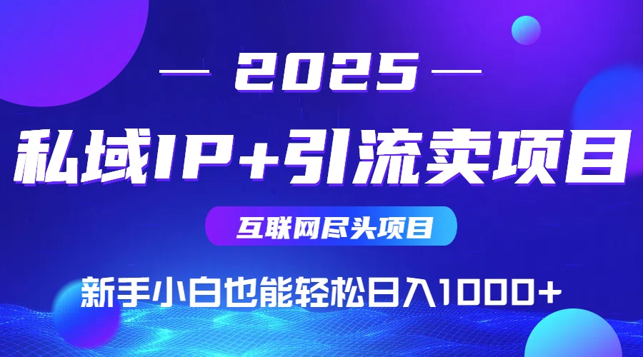 2025网创尽头项目,私域IP+引流,新手小白也能在家日入1000+-优优云网创
